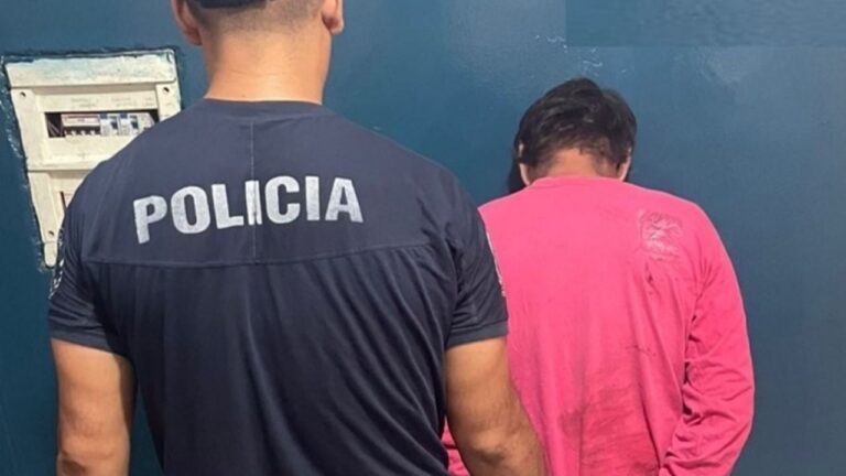 Detuvieron a un hombre que atacó a palazos a su pareja