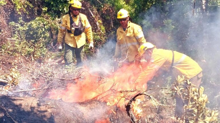 Brigadistas catamarqueños combaten los incendios forestales en el sur del país