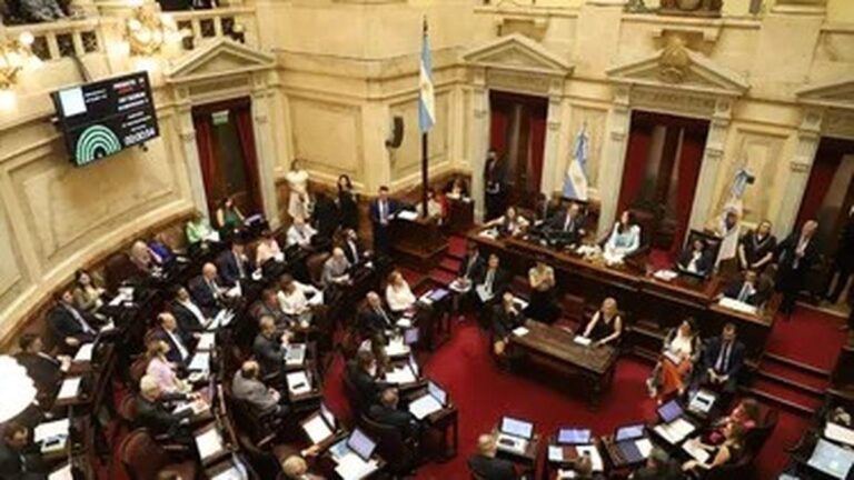 El Senado debate la suspensión de las PASO: el oficialismo busca el apoyo de los bloques aliados