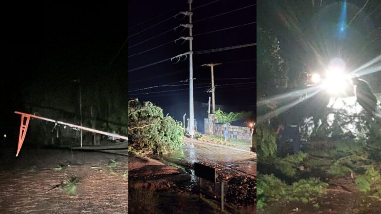 Un temporal azotó Aconquija: cayeron árboles y postes de luz