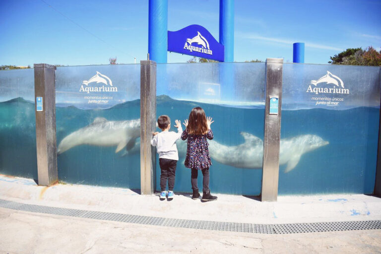 Aquarium Mar del Plata cerrará sus puertas