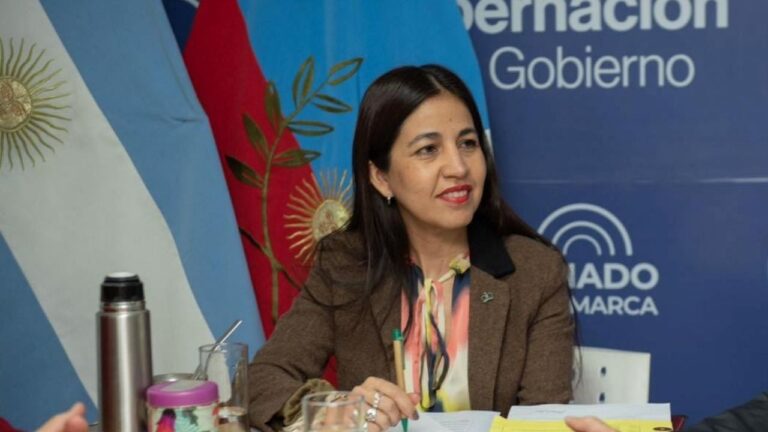 El Senado trata la suspensión de las PASO la próxima semana