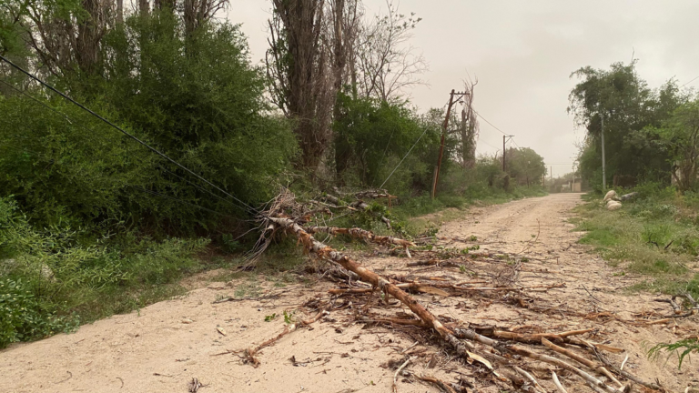 Fuerte viento en Andalgalá provocó la caída de postes