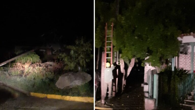 La tormenta provocó daños en el interior provincial