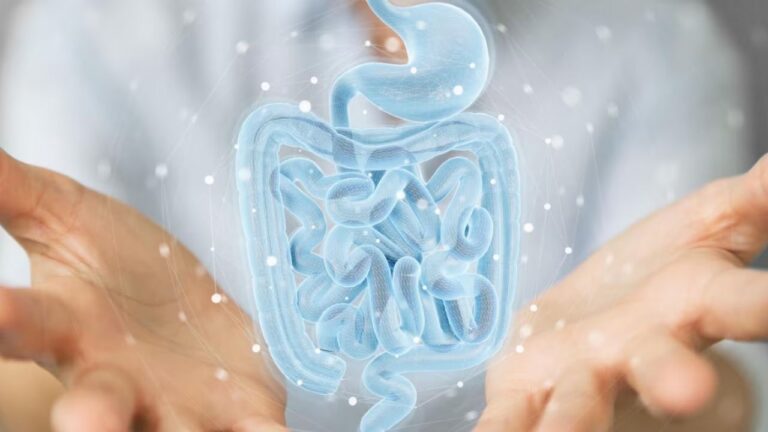 Cómo mejorar la flora intestinal para favorecer la salud mental