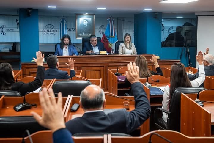 El Senado aprobó la suspensión de las PASO