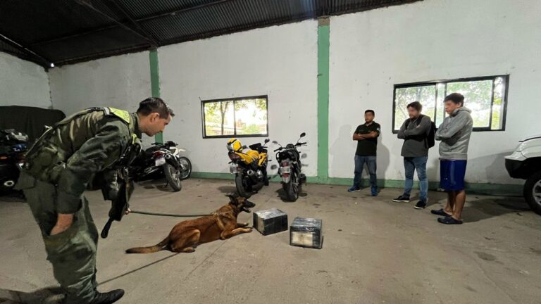 Secuestraron más de 12 kilos de droga en Tucumán
