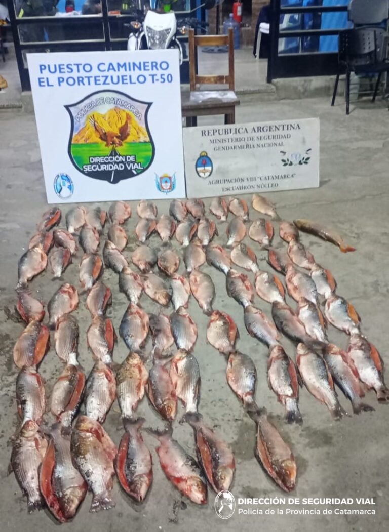 Valle Viejo: dos tucumanos detenidos con 73 pescados en mal estado