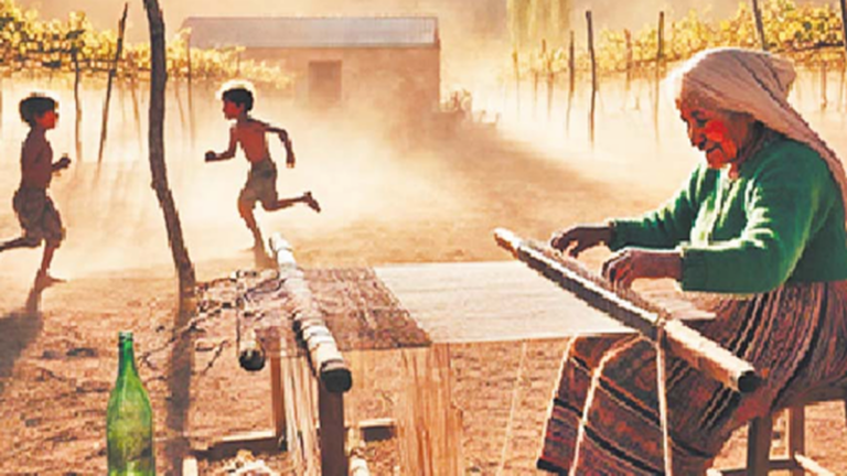 El algodón y la tejeduría doméstica nacional: un imperio textil olvidado