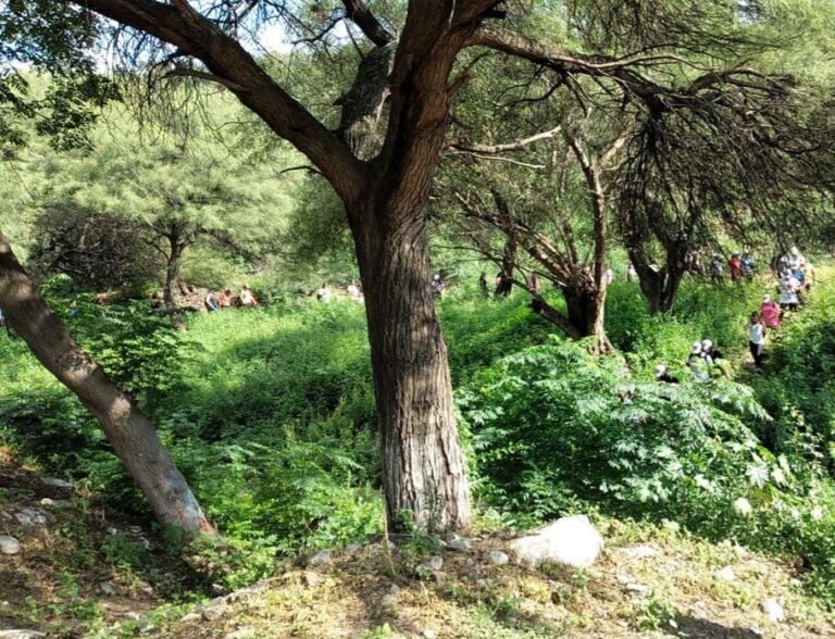 Opciones de trekking en la ciudad: aventura y naturaleza en circuitos guiados