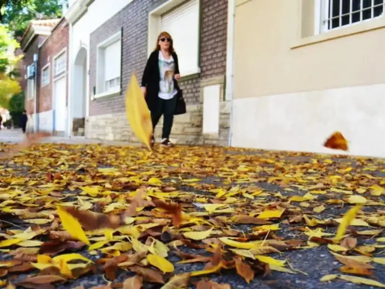 Mañana fresca en la capital: como estará el pronostico para el viernes