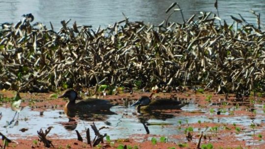 Entre Ríos incorporó dos nuevas reservas a su Sistema de Áreas Naturales Protegidas