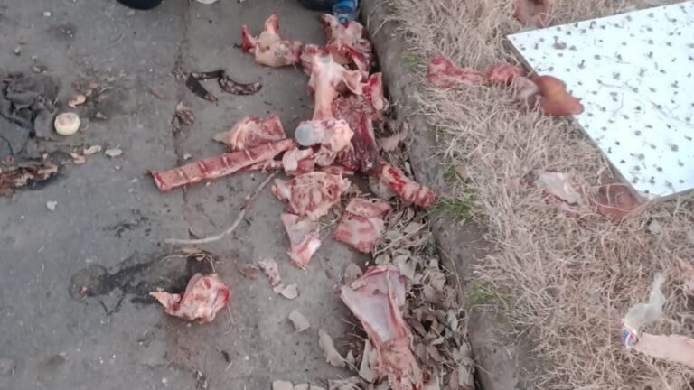 Vecinos inconscientes: «Se llena el contenedor y arrojan en el suelo»