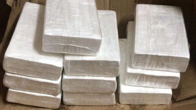 Belén: secuestraron más de 300 kilos de cocaína