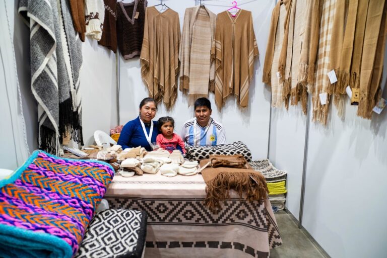 La fibra más fina del mundo se teje en Catamarca: así nacen los ponchos de vicuña