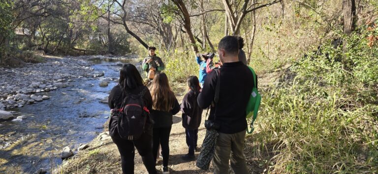 Avistaje de aves en Pueblo Perdido: una experiencia gratuita para reconectar con la naturaleza en Catamarca