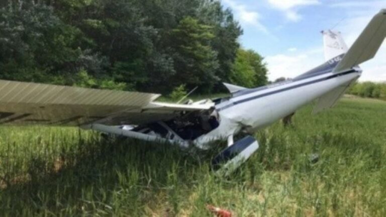 Murió un piloto al estrellarse su avioneta en un campo de Villa Mercedes
