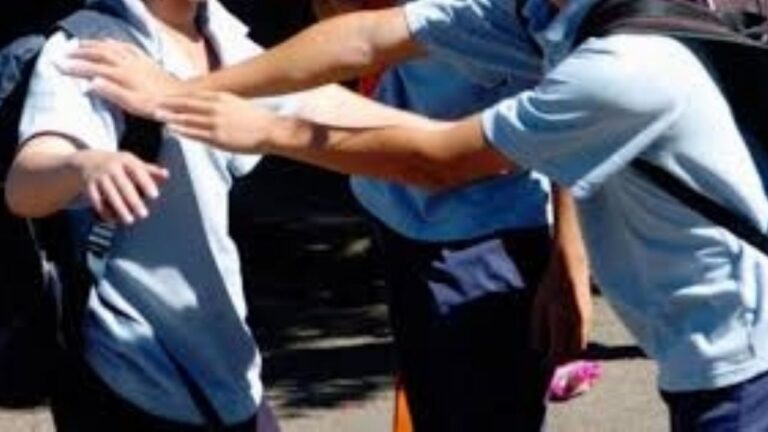 El 63% de los alumnos de sexto grado sufre agresión escolar en Argentina