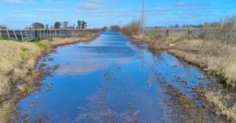 Las dos caras de las lluvias: hay 700 mil hectáreas inundadas en Buenos Aires pero en la zona núcleo se espera un aumento en el área sembrada