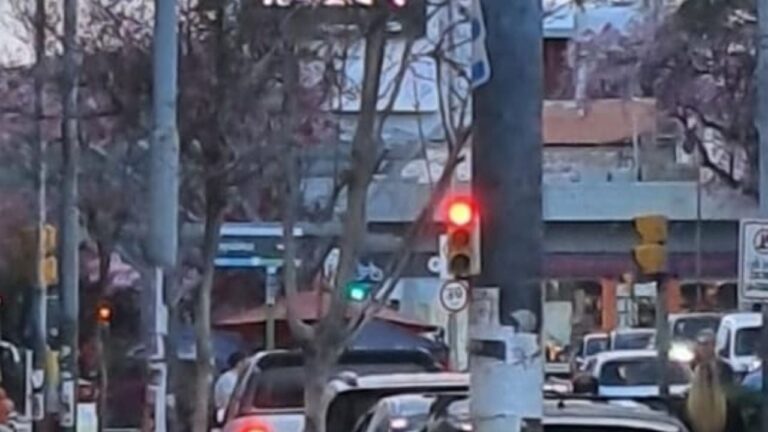 «Todos los árboles de Rivadavia al 500 están secos»