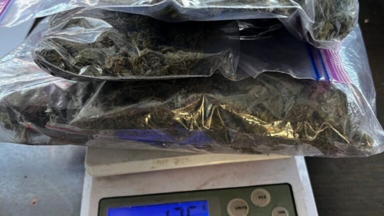 Detuvieron a un joven con marihuana y LSD en un colectivo de larga distancia en Valle Viejo