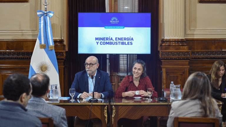 Minería: Flavio Fama encabezará una jornada sobre desafíos y oportunidades en el Senado