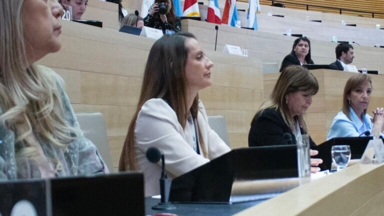 Catamarca dijo presente en el Parlamento del Clima