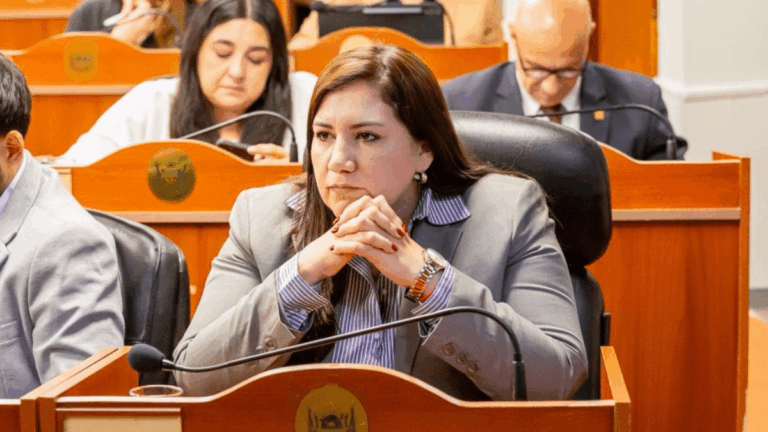 La Federación Universitaria de Catamarca repudió a la Diputada Silvana Carrizo