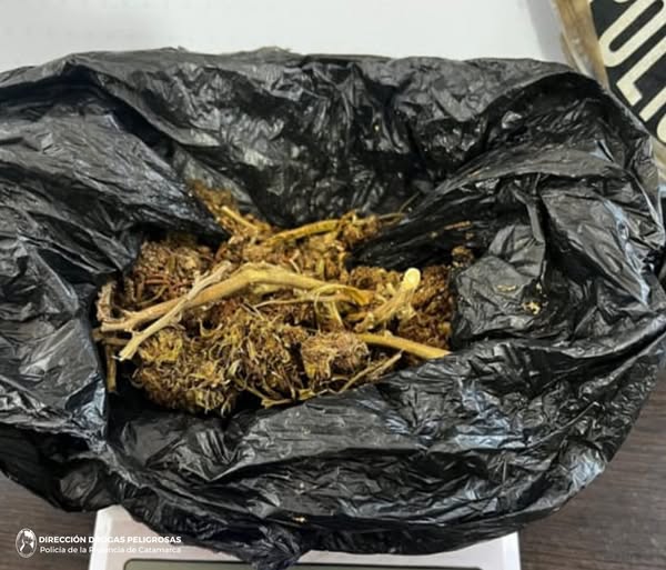 Droga y detención en Valle Viejo: Qué encontró la División Canes Antinarcóticos?