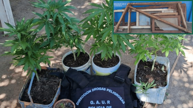 Andalgalá: operativo policial terminó con la recuperación de objetos robados y el secuestro de cannabis