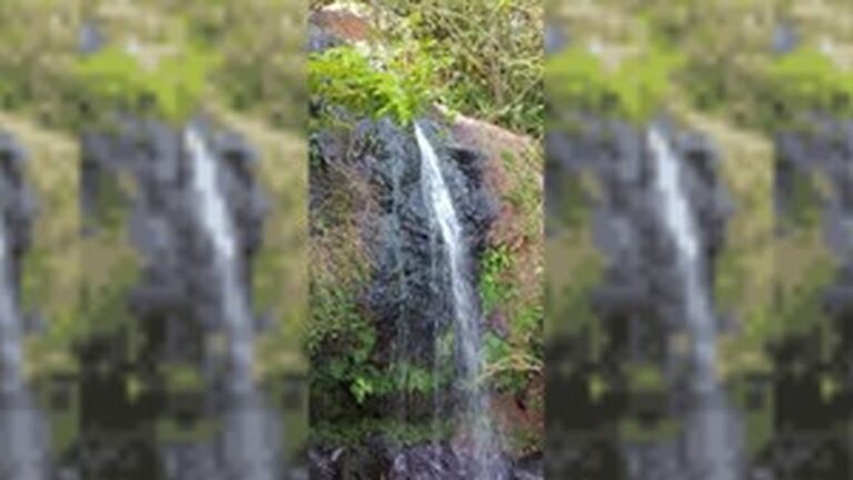 Misiones: investigan la muerte de un hombre hallado en una cascada en Iguazú