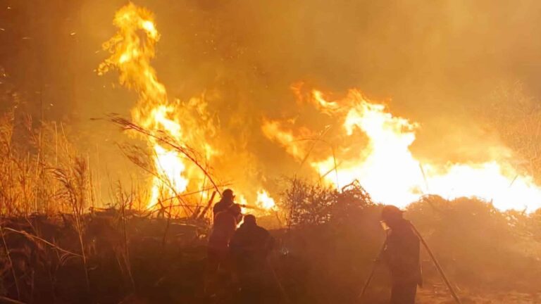 Riesgo extremo de incendios forestales en Catamarca: alertan por viento Zonda y aire muy seco