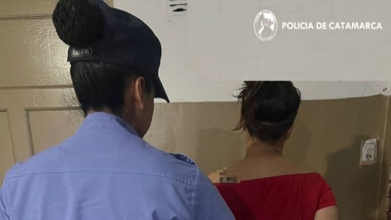 Una mujer de 29 años intentó robar bebidas alcohólicas de un local y terminó en la Comisaría