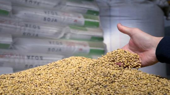 La reacción del agro sobre la quita de retenciones: No fueron tan elogiosos respecto de la medida