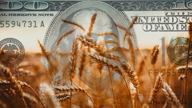 El Gobierno ratificó que la quita de retenciones se mantendrá hasta el 31 de octubre