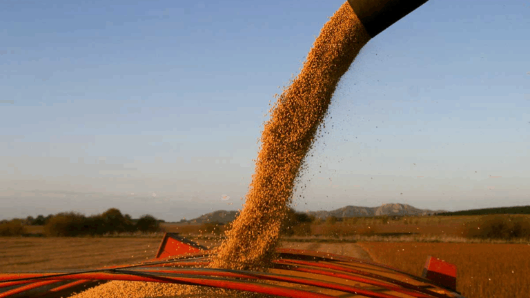 Los grandes beneficiarios de una medida desesperada