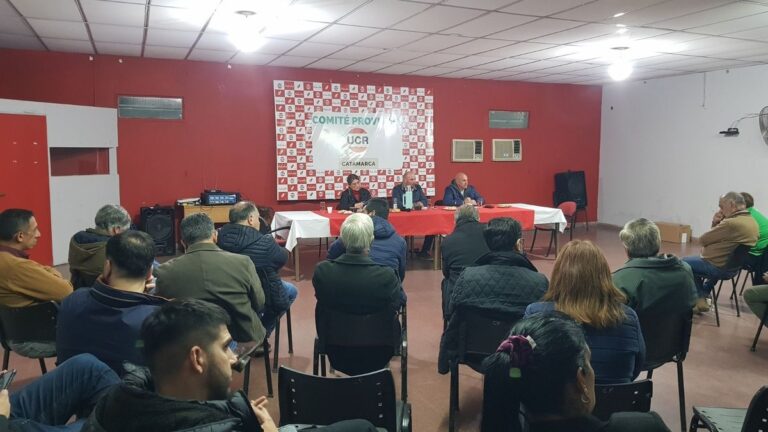 La UCR evalúa pedir la renuncia de bancas a los «radicales con peluca»