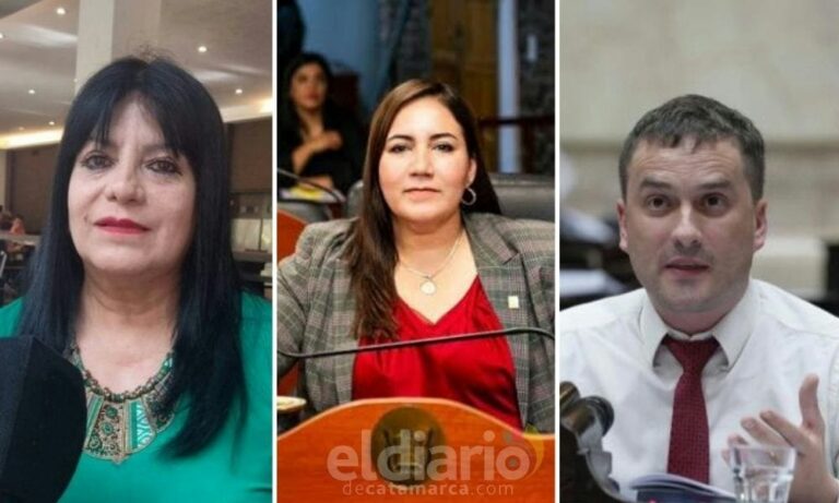 Crisis en la UCR catamarqueña: Clara Oliva exige la renuncia de los «radicales con peluca» y apela a la ética política