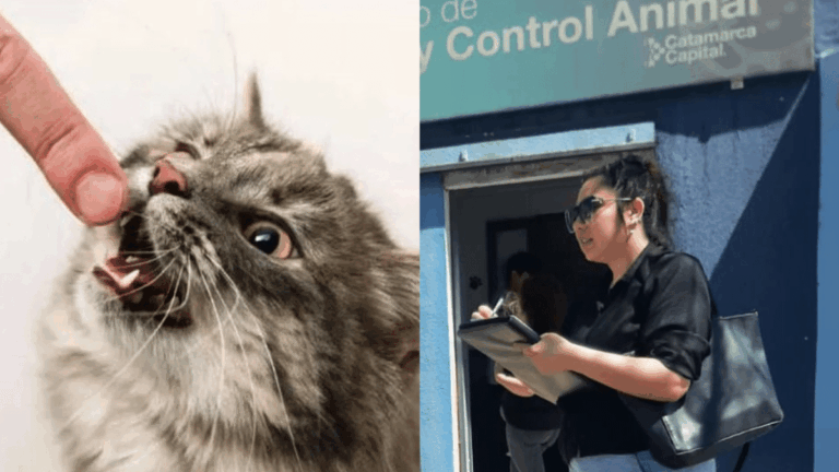 Investigación sobre rabia en Catamarca: protección de mascotas y educación ambiental