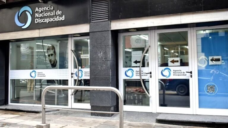 A un mes de la intervención, la ANDIS avanza con el proceso de auditorías