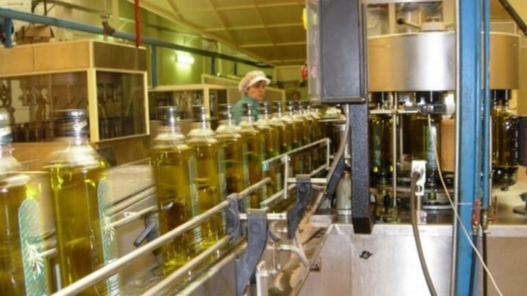 Huelga nacional de aceiteros por salarios: dictan conciliación obligatoria