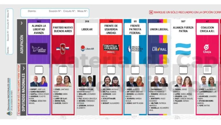 La Justicia rechazó la reimpresión de boletas de La Libertad Avanza y se mantendrá la cara de Espert