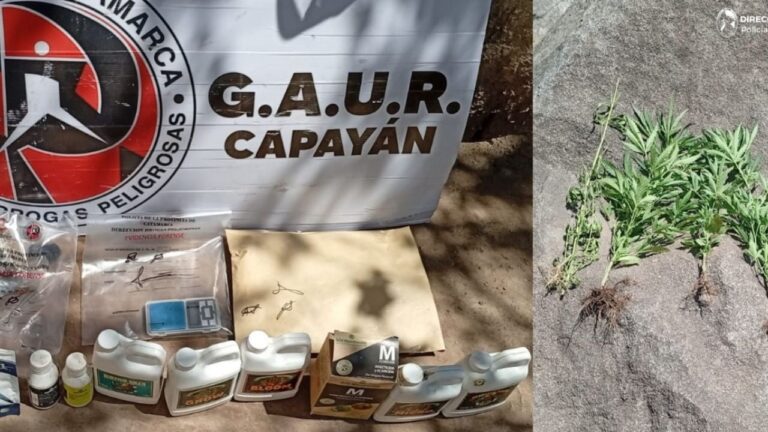 Tras un registro domiciliario, secuestraron un arma de fuego y marihuana