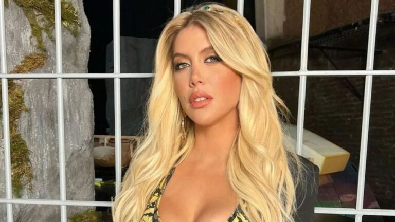 Wanda Nara agranda su familia con su nuevo novio: la foto que confirma la hermosa noticia