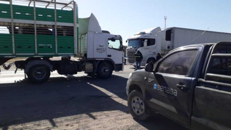 SENASA simplifica el registro de lavaderos para el transporte de animales en pie