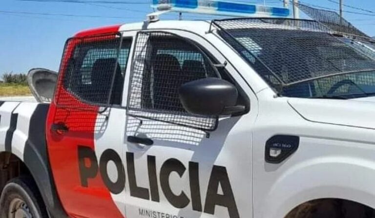 Violencia familiar: un joven intentó agredir a su madre con un ladrillo