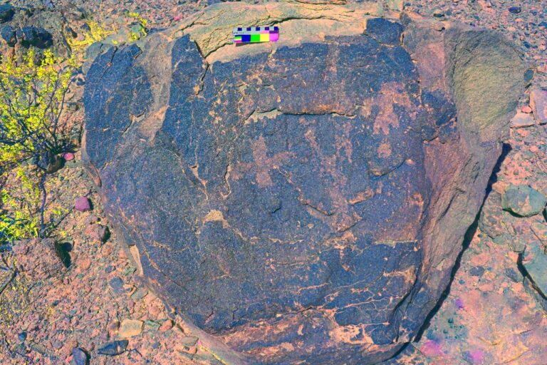 Descubren un impresionante campo de petroglifos en Santa Rosa: un hallazgo que reescribe la historia del arte rupestre en Catamarca