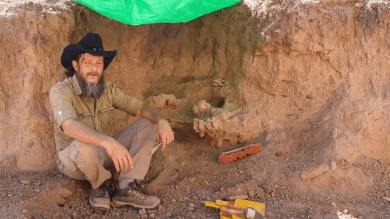 Hallazgo paleontológico: encontraron fósiles de un milodón en Aconquija