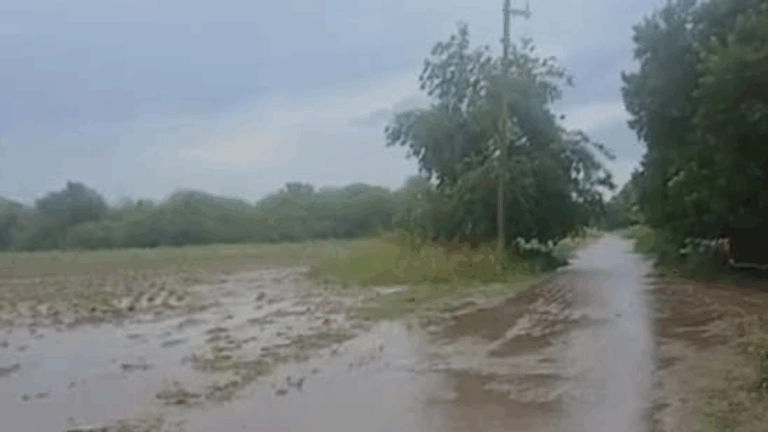 Fuerte temporal azota Los Altos: diluvio, granizo y campos inundados