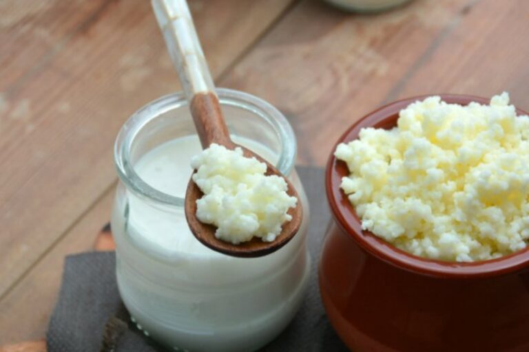 Oro blanco: el alimento milenario que ayuda a restaurar la flora intestinal